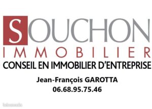 Souchon Immobilier